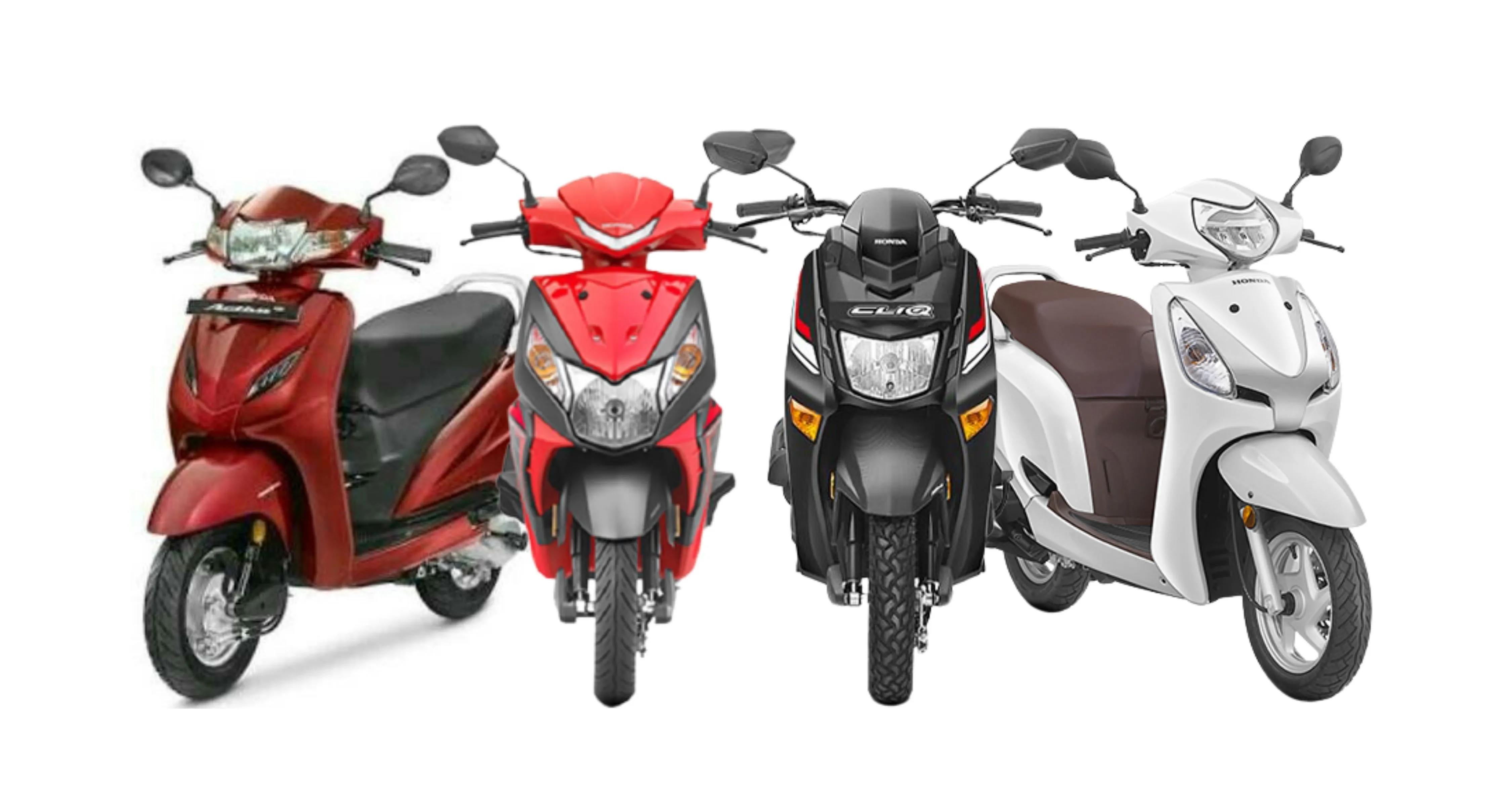 Bike Rentals